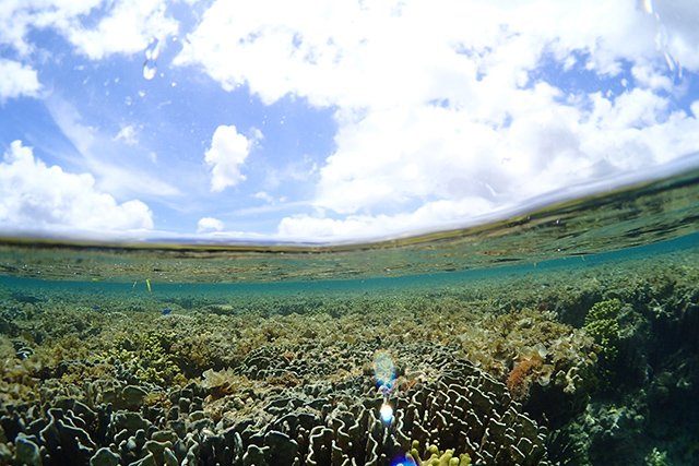 白保シュノーケリング