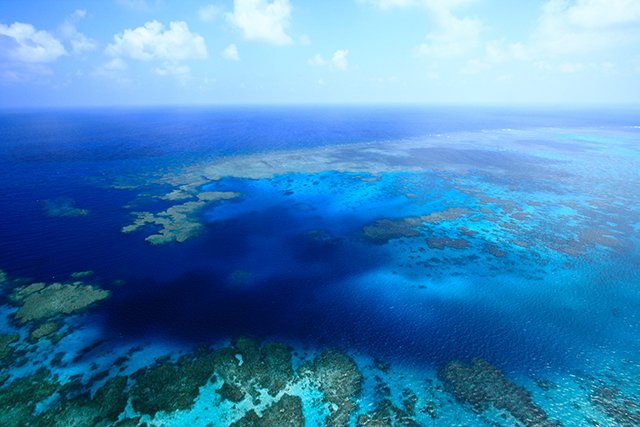 広大なサンゴ礁