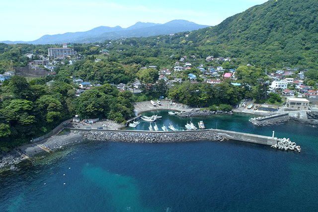 上空からの富戸港