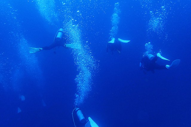 海の色が深い神子元