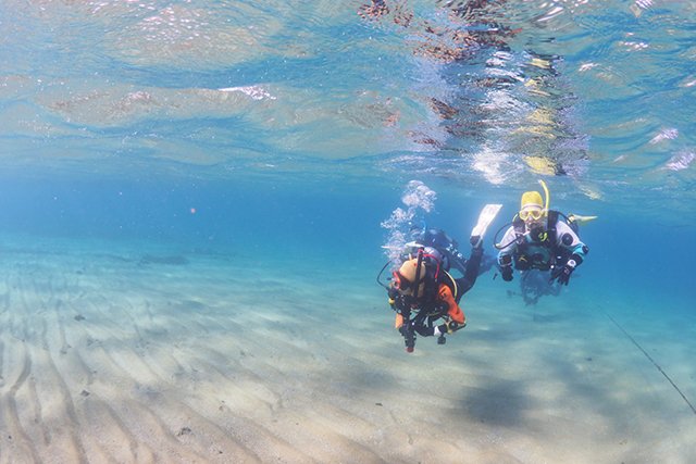 癒される浅場の砂地