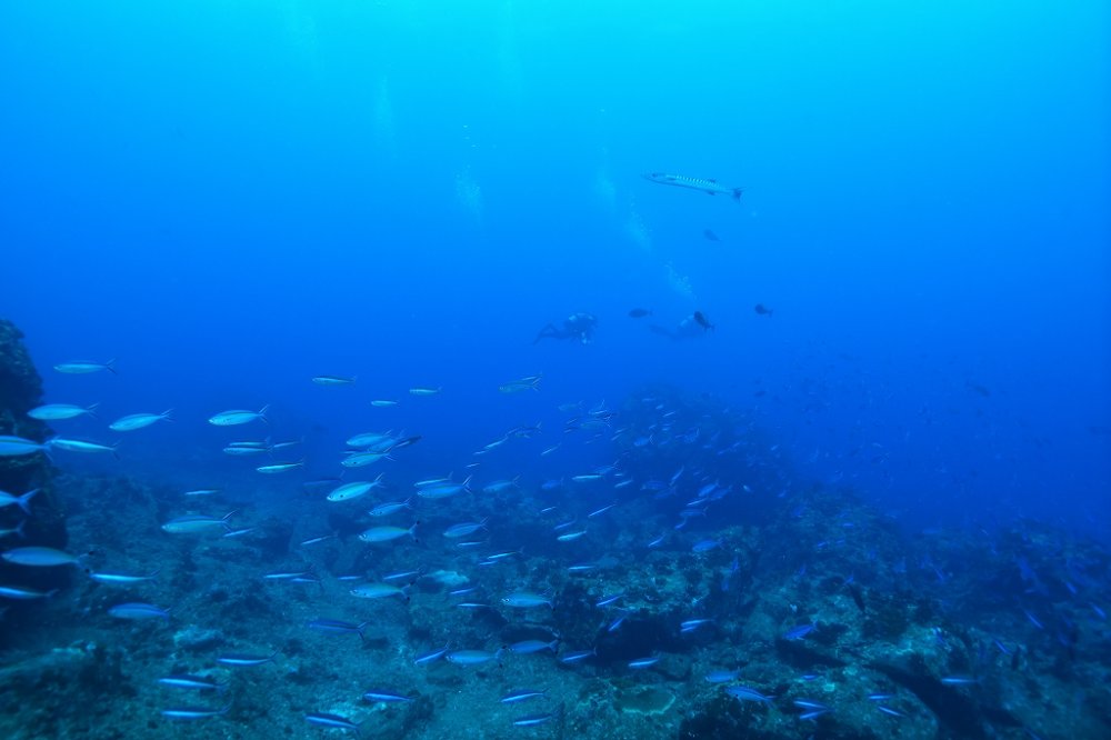 球美の海 久米島