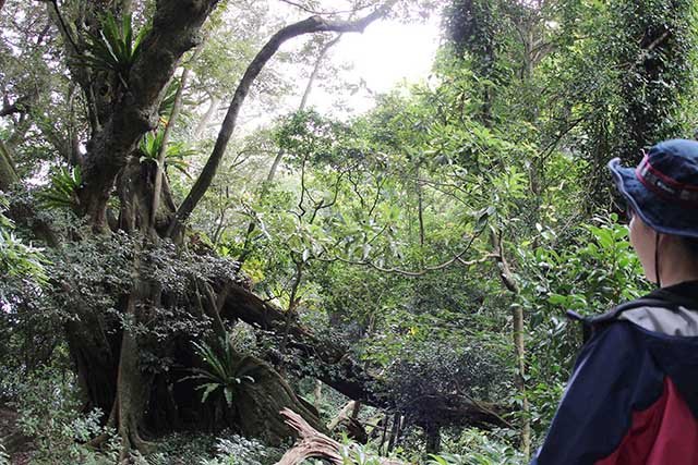 陸が豊かなところは、海も豊かです。