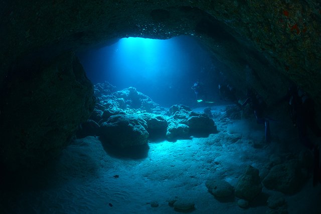 優しく差し込む太陽光がとても幻想的