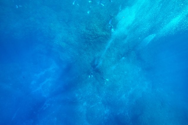 水面から水底がくっきり！