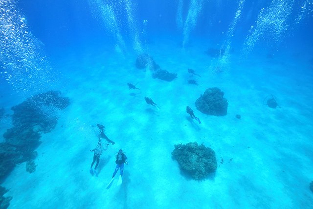 どこまでも気持ちいい広大な白い砂地