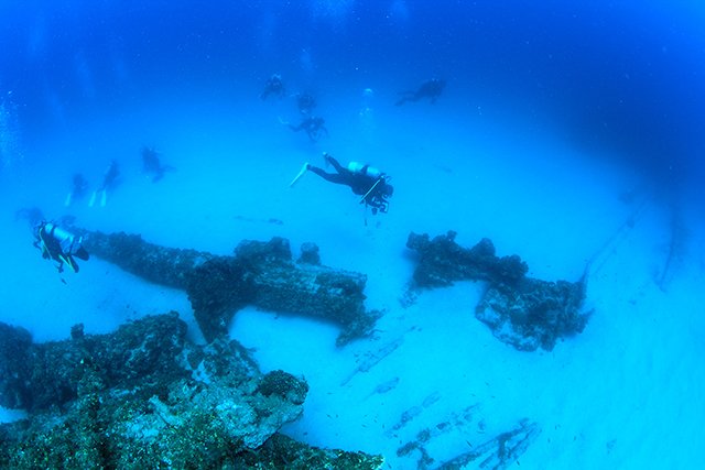 紺碧のボニンブルー