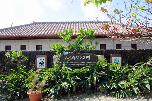 しらほサンゴ村