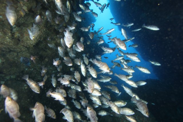 ダイナミックな地形とメバル