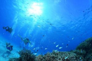 沖縄 慶良間諸島 渡嘉敷島