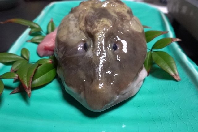 ばばちゃん正面