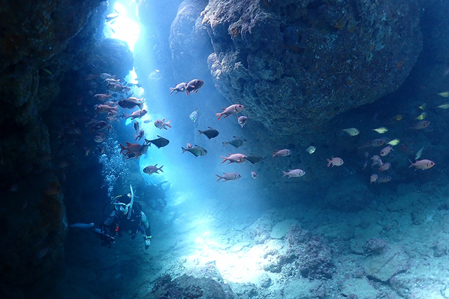 幻想的な光の筋