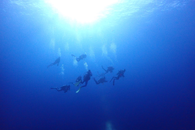 真っ青な海とダイバー