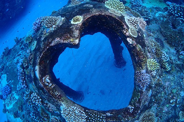 ダイバーに人気の海中宮殿
