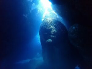 奄美大島&emsp;'26/3/13〜15&emsp;中塚