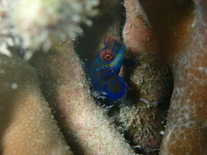 奄美大島&emsp;'25/3/7〜3/9&emsp;塩澤