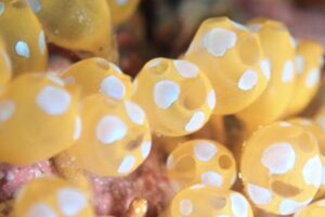 奄美大島&emsp;'25/3/25〜27&emsp;眞野