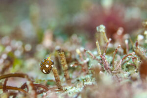 四国愛南&emsp;'25/4/11〜13&emsp;髙橋