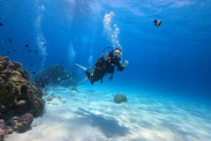 渡嘉敷島&emsp;'25/5/22〜25&emsp;栗原