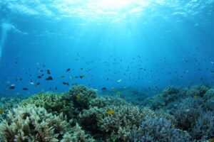 石垣島&emsp;'25/6/6〜9&emsp;山本