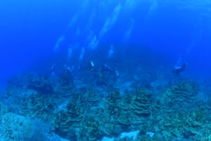 西表島&emsp;'25/6/19〜22&emsp;渡邊、皆川