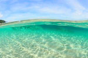 屋久島&emsp;'25/6/18〜22&emsp;髙橋