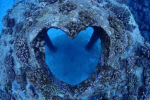 与論島&emsp;'25/7/5〜8&emsp;伊東