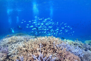 渡嘉敷島&emsp;'25/7/10〜13&emsp;塩澤