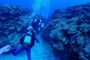 与論島&emsp;'25/7/12〜15&emsp;中塚