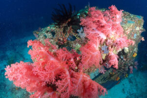 四国愛南&emsp;'25/10/17〜19&emsp;伊東