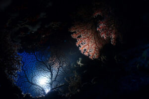 恩納村&emsp;'25/11/8〜10&emsp;山本