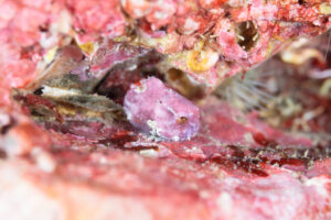 宮城県 石巻&emsp;'25/11/15〜16&emsp;山下