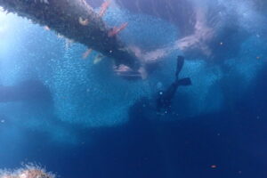 那覇&emsp;'26/3/27〜29&emsp;福田