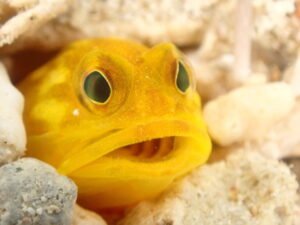 那覇&emsp;'26/3/5〜8&emsp;塩澤