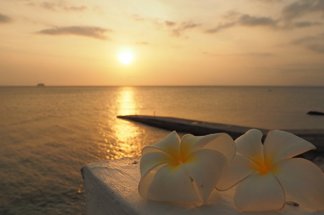 ゆったりとしたリゾートの時間が流れます。