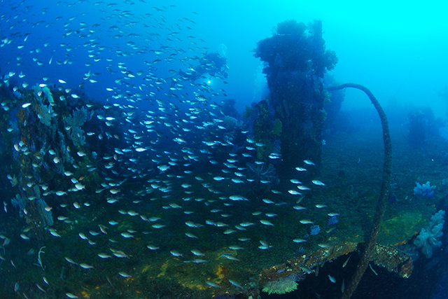 浮かび上がる船首部分