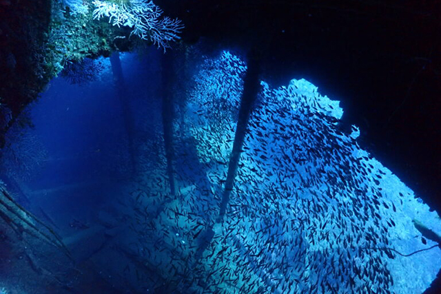 船の内部の光と群れ