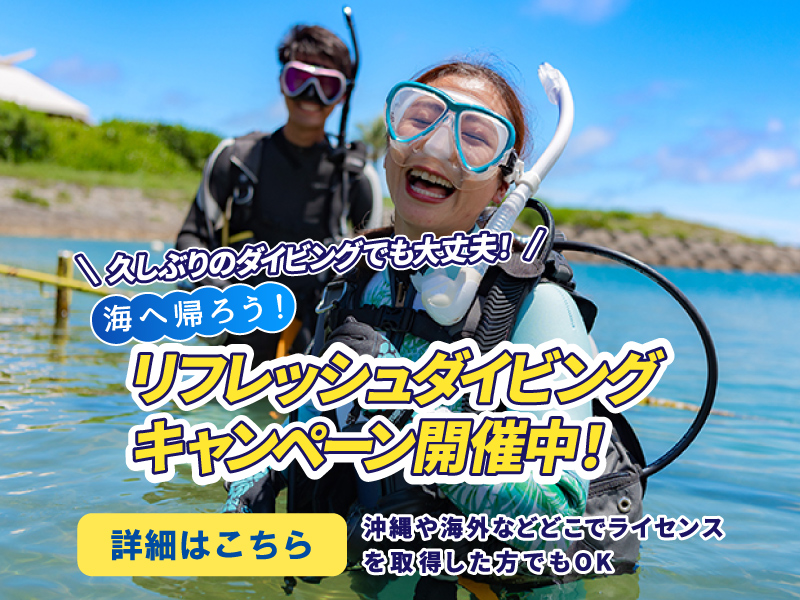 リフレッシュダイビングキャンペーン 詳細はこちら