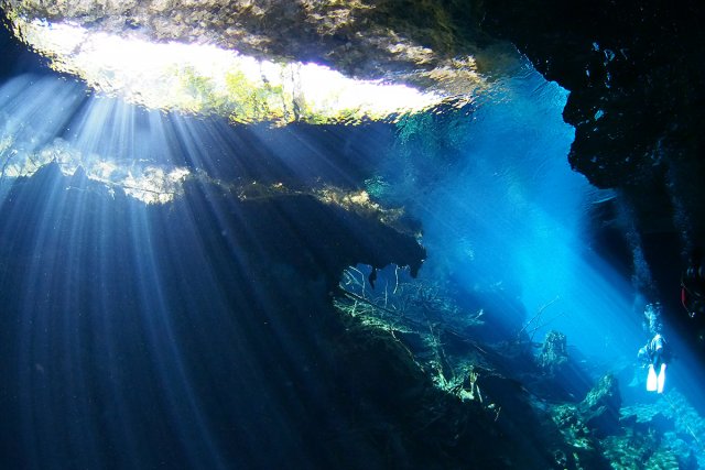 メキシコ セノーテ