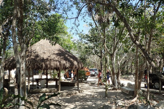 こんなジャングルの中にセノーテ