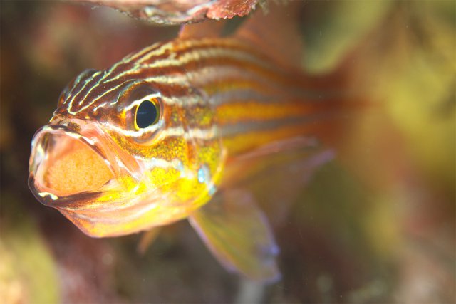 あ～んして♡ツアー