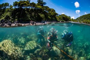 富戸のんびりツアー