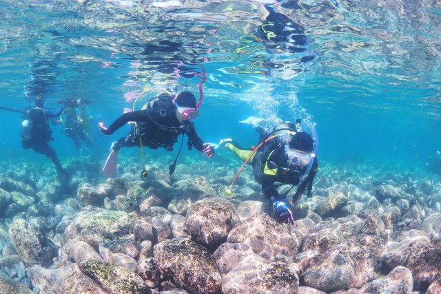 浅場で魚を探してみよう