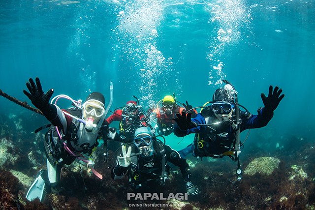 余裕が出てきたら周りを見渡してみよう