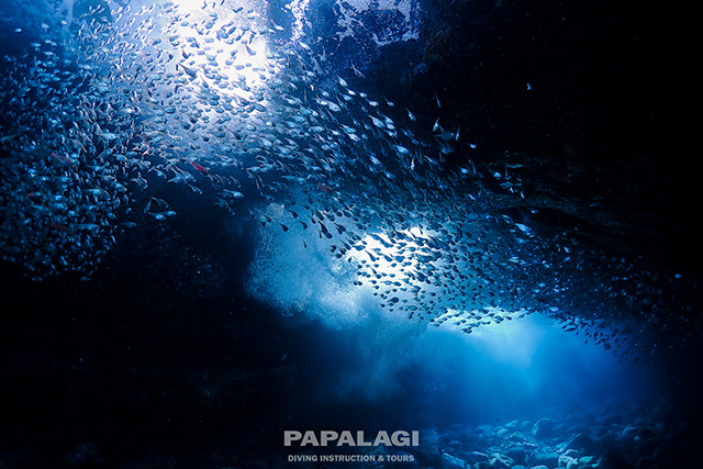 幻想的な富戸ホール