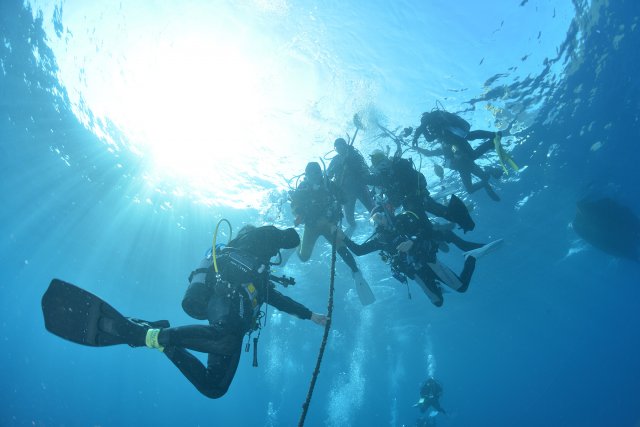 光の中をエントリー！1