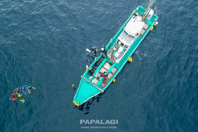 エントリーしたらブイにつかまって集合