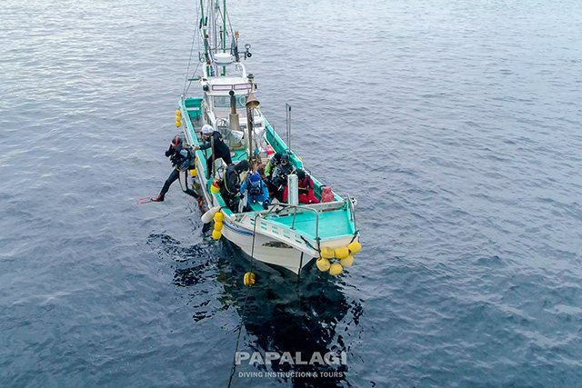 １人ずつジャイアントストライドエントリー