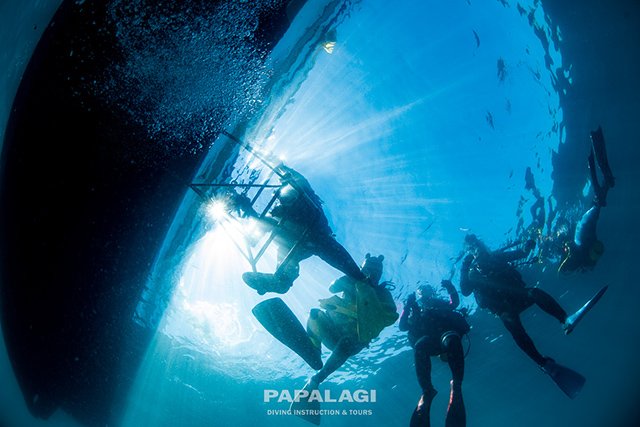 エキジットは一人ずつラダーにつかまって