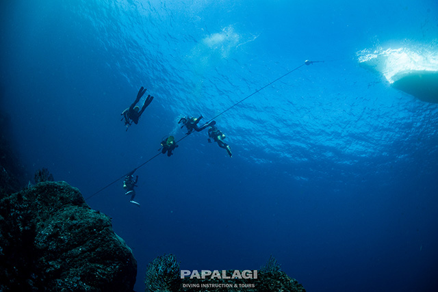 光の中をエントリー！2